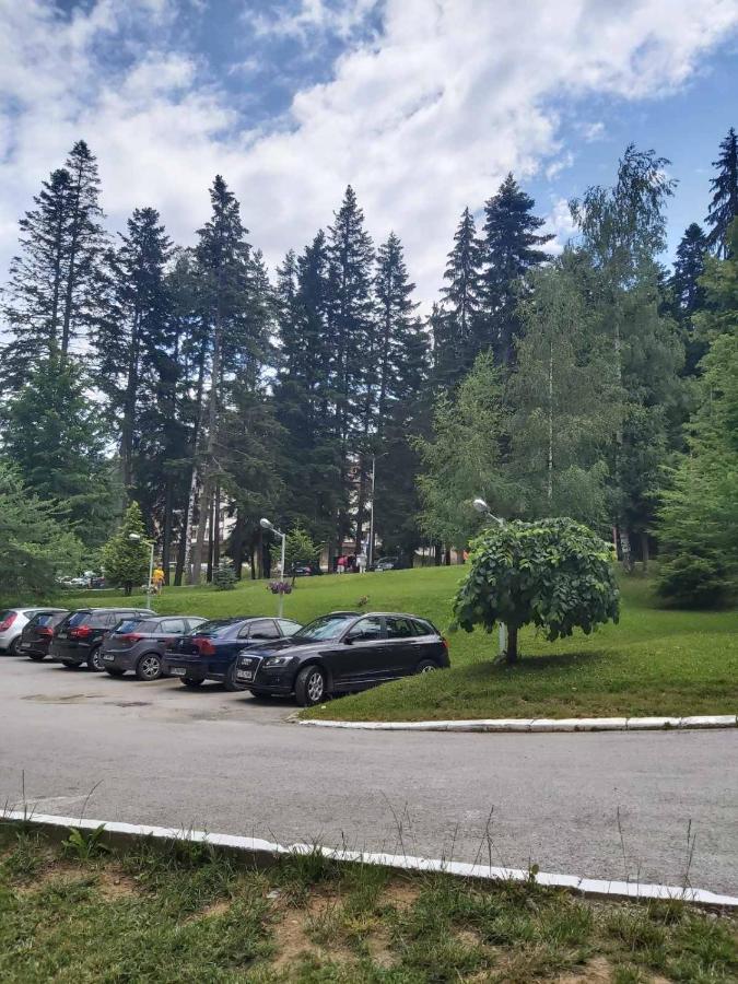 Premium Apartment In Borovets Gardens Complex Εξωτερικό φωτογραφία