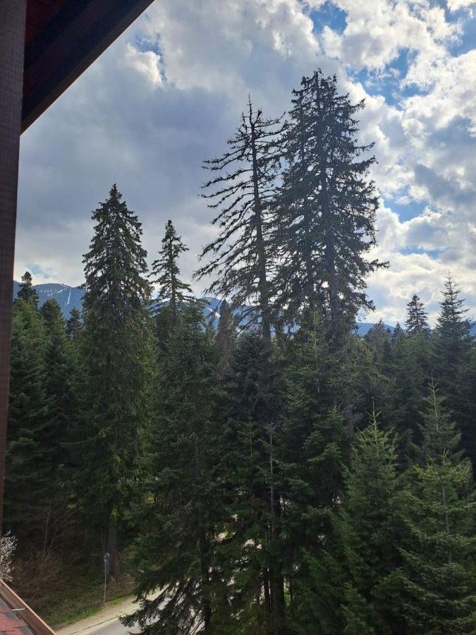 Premium Apartment In Borovets Gardens Complex Εξωτερικό φωτογραφία