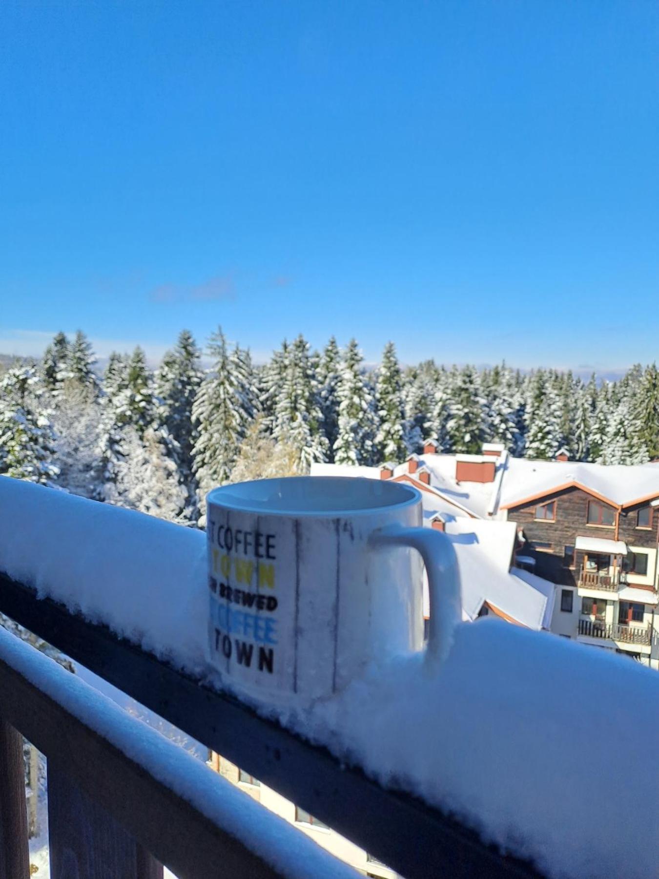 Premium Apartment In Borovets Gardens Complex Εξωτερικό φωτογραφία